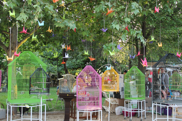 Feria Jardinera: tienen que ir!