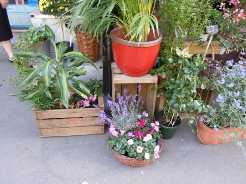 Cajas de frutas en la terraza