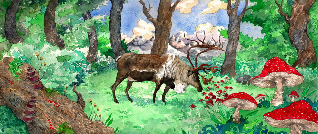 ARTE: Francesca Mencarini