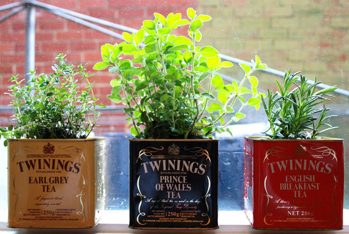 Para arrancarse con los tarros