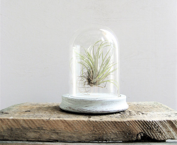 Reporte Maison&Objet 2012: Display Dome