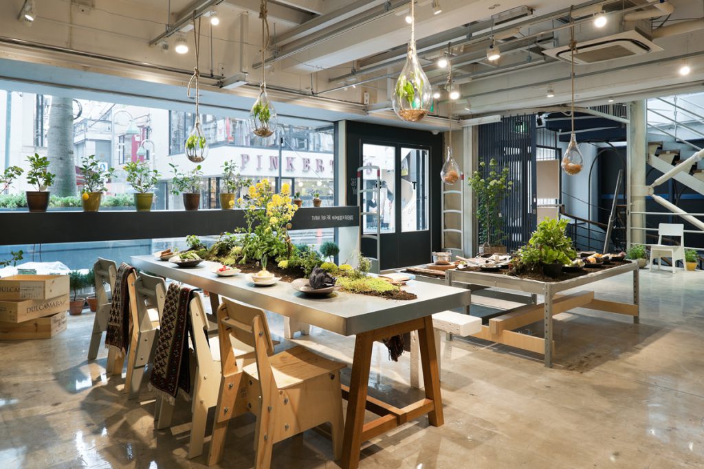 Today’s Special / Schemata Architects