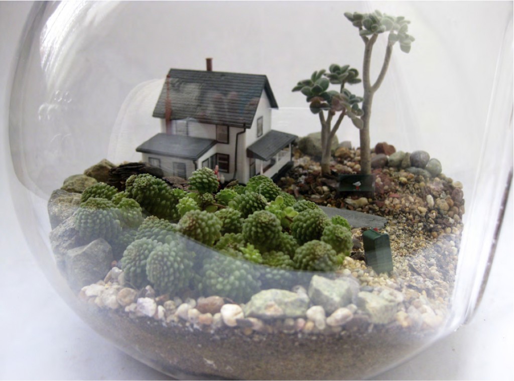 Los terrarios de Constanza Rodríguez