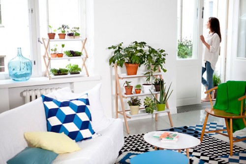 Plantas puertas adentro / Kekkila