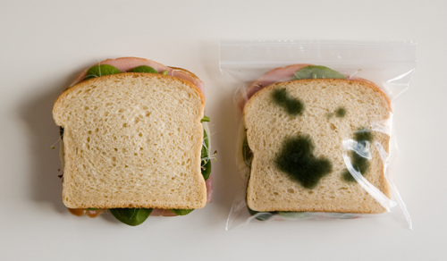 Bolsas anti robo de sandwiches / The.