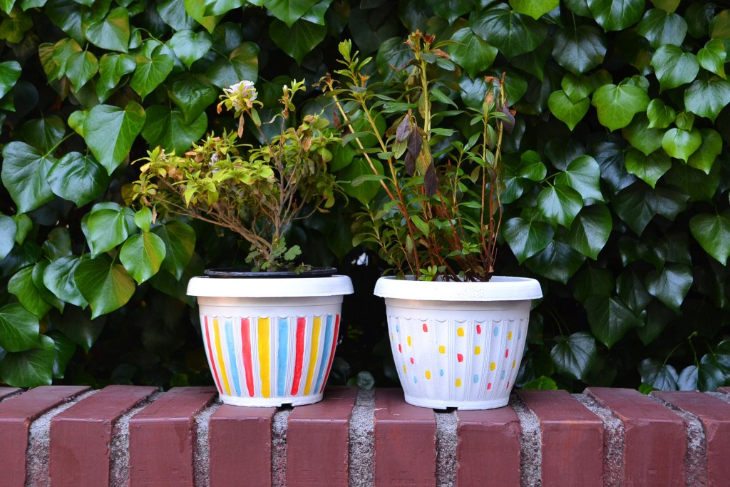 Hazlo tú mismo: Maceteros pintados con esmalte de uñas