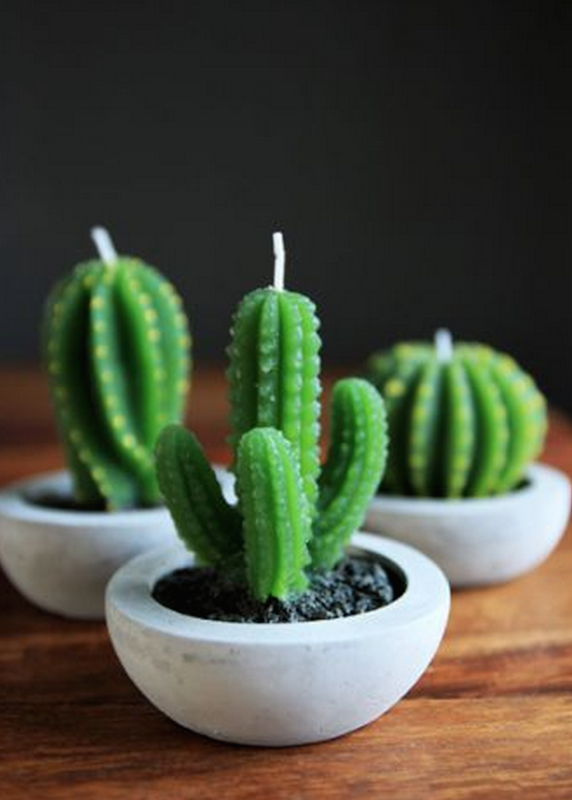 little-cactus-candles-1