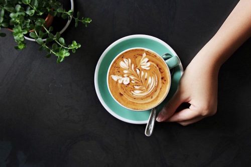 Cómo preparar café con estilo en una cafetera prensa francesa