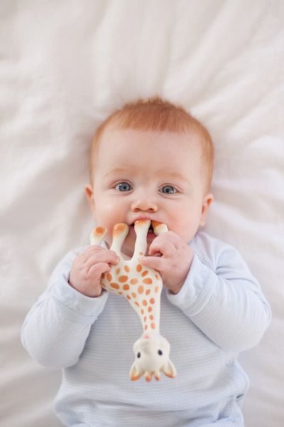 Sophie la Girafe, el mejor juguete para tu bebé