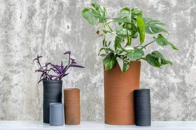 8 Marcas de maceteros para tener muy felices a tus plantitas
