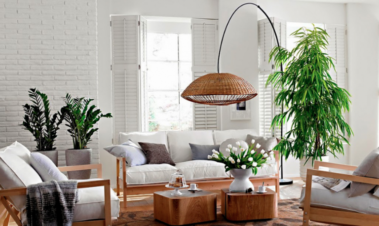 Ideas para decorar tu casa con plantas
